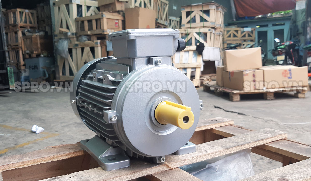 mo to dong co dien enertech esa100l 4 3hp spro(5)