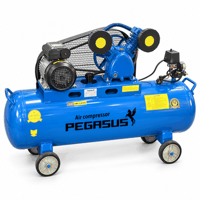 máy bơm hơi Piston dây đai Pegalion TM-V-3.120