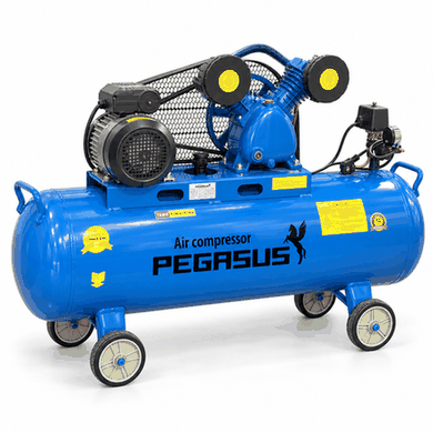máy nén khí Piston dây đai Pegasus TM-V-3.120